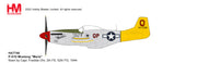 1/48 P-51D Mustang "Marie" flown by Capt. Freddie Ohr 2th FS 52th FG 1944