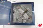 1/48 P-51D Mustang Mk.IV "Dooleybird" flown by F/L Arthur S. "Joe" Doley 19th Squadron RAF late 1945
