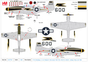 1/48 P-51D Mustang Lt. Col. Edward O. McComas 118th TRS 23rd FG USAAF Luliang China Jan 1945