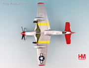 1/48 P-51D "Creamer's Dream" flown by 1st Lt. Charles White 301st FS Ramitelli Italy 1945