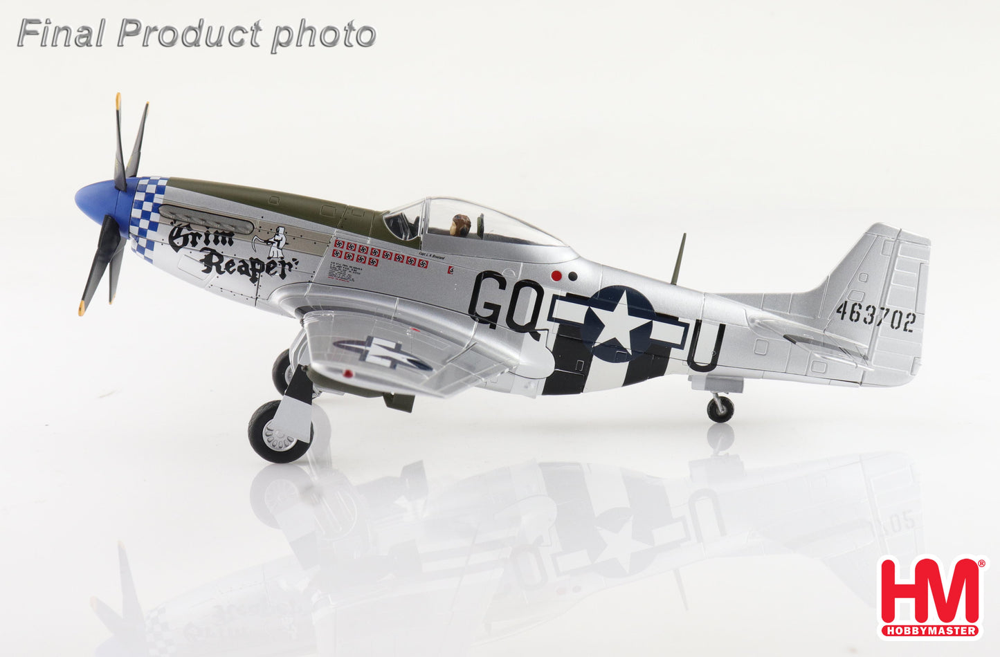 1/48 P-51D "Grim Reaper" 463702 355th FS 9th USAAF 1945