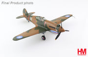1/48 Curtiss Hawk 81A-2 White 68 Ft Ldr Charles Older AVG 3rd PS Burma May 1942
