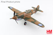 1/48 Curtiss Hawk 81A-2 White 68 Ft Ldr Charles Older AVG 3rd PS Burma May 1942