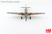 1/48 Curtiss Hawk 81A-2 White 68 Ft Ldr Charles Older AVG 3rd PS Burma May 1942