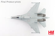 1/72 Su-30MK2 No.17 PLANAF 2022 (Low Visibility Scheme)