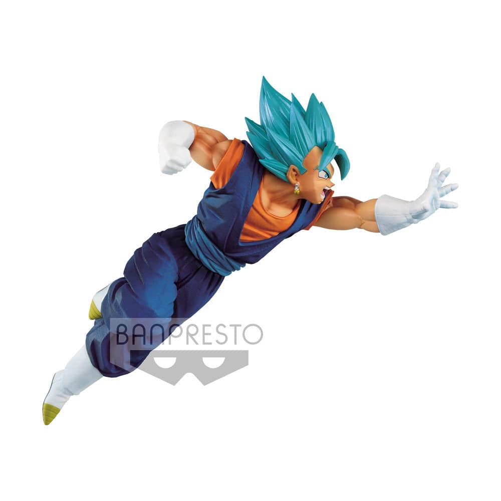 DRAGONBALL SUPER CHOSENSHIRETSUDEN VOL.5 B-SUPER SAIYAN GOD SUPER SAIYAN VEGITO