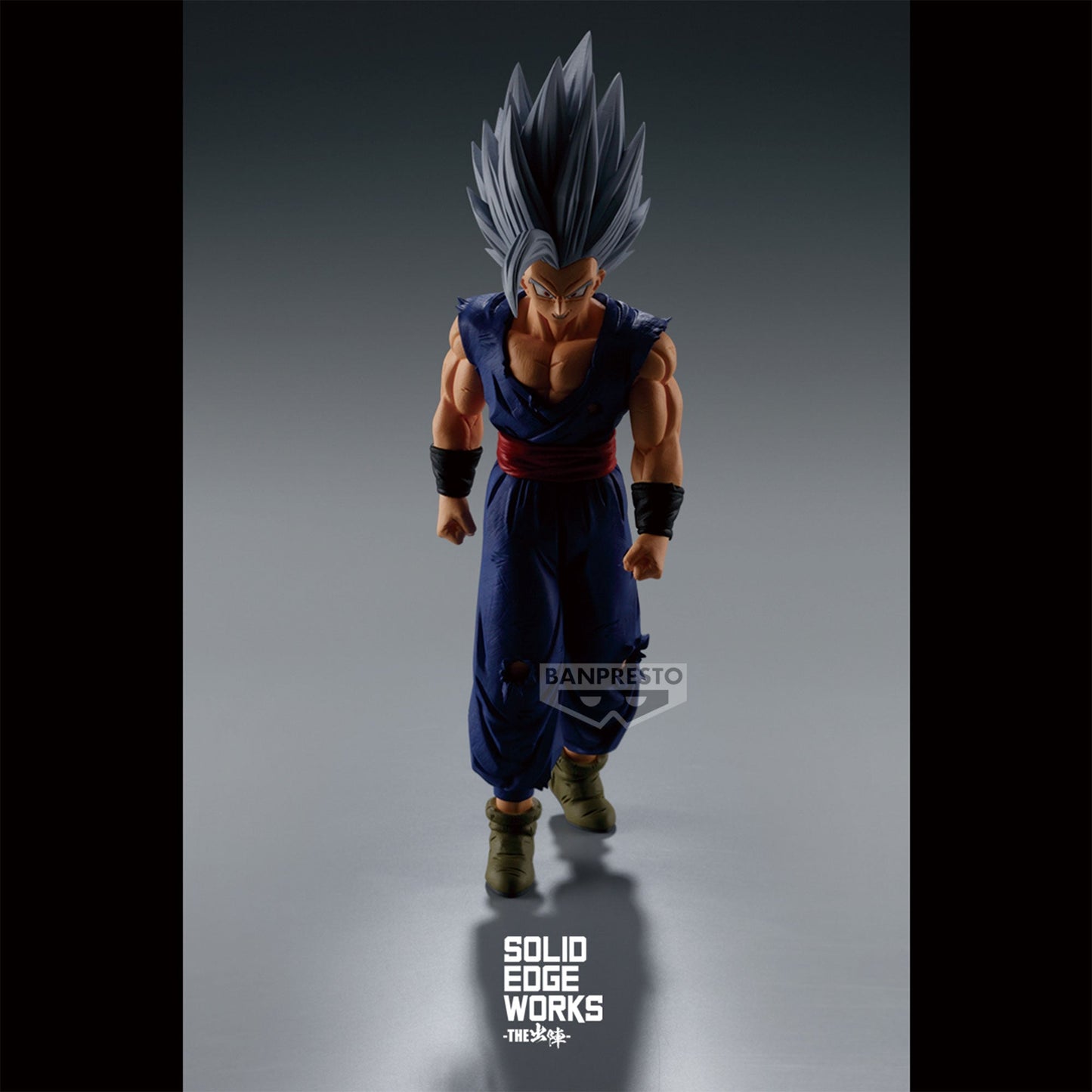 Dragon Ball Super: Super Hero Solid Edge Works Vol.14 (A:Son Gohan (Beast))