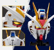 BN Head Collection Vol.2 Strike Freedom Gundam
