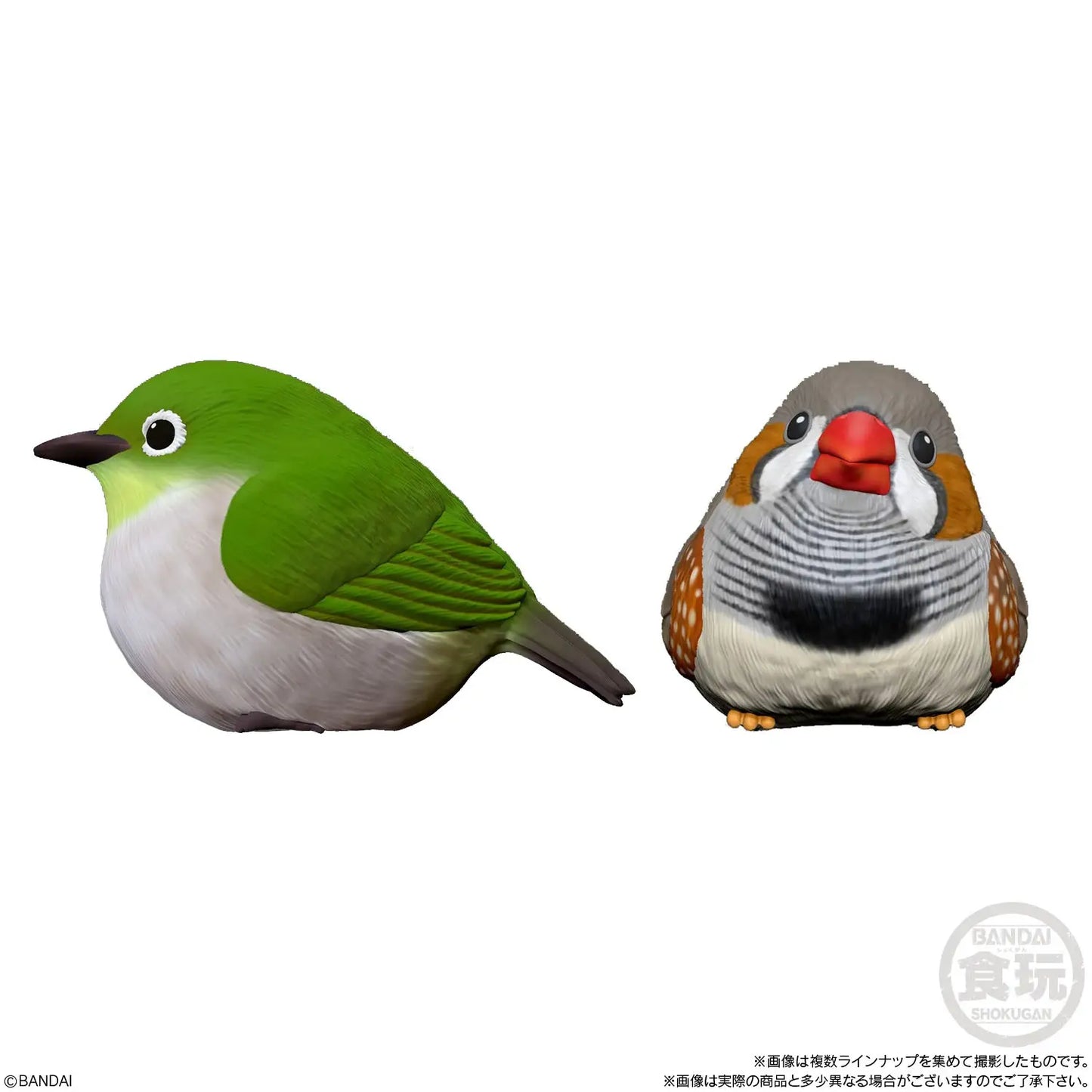 Te-Nori Friends 4 without Gum [Re-Offer]