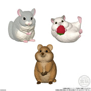 TENORI FRIENDS 5 W/O GUM