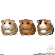 TENORI FRIENDS 5 W/O GUM