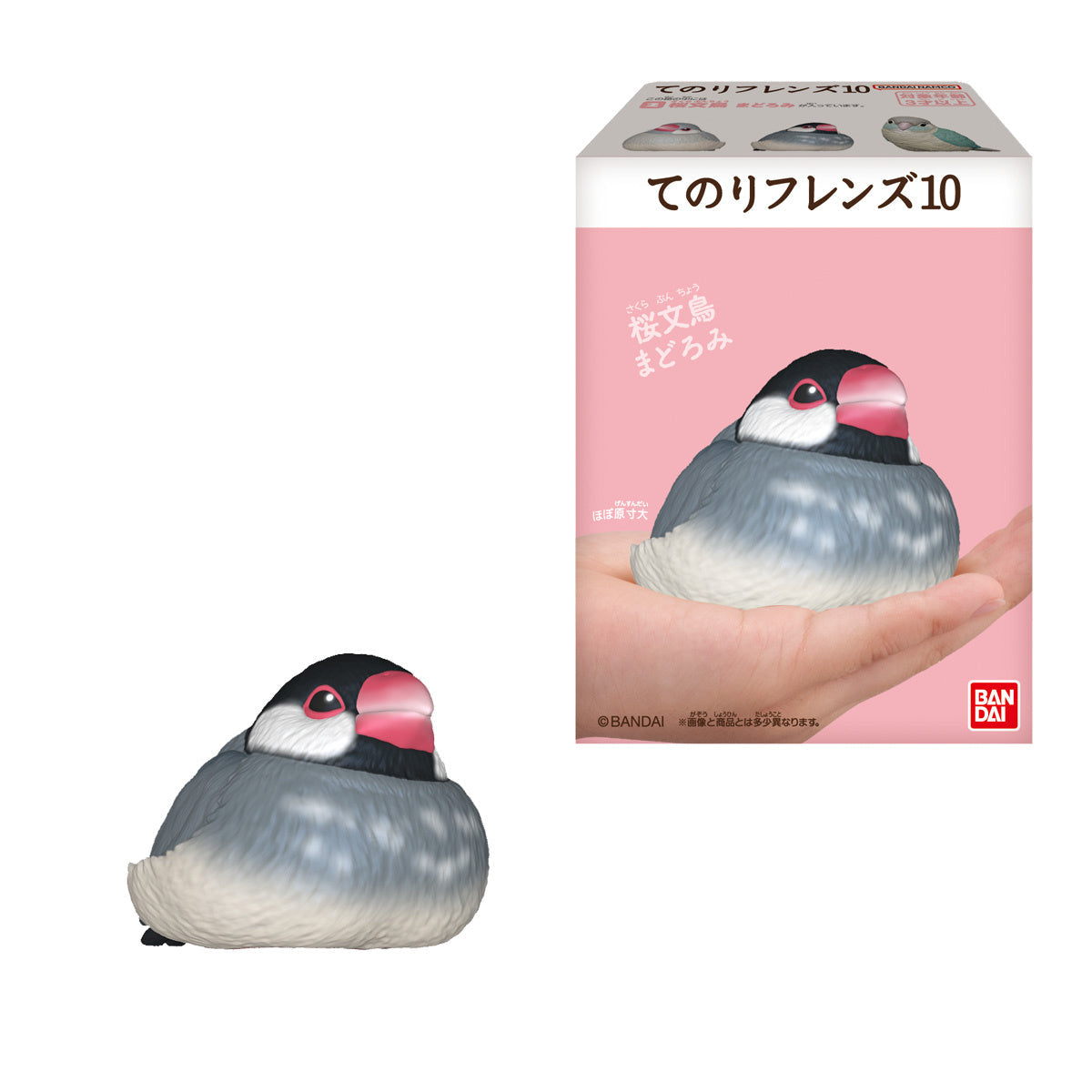 Te-Nori Friends 10 Bird without Gum