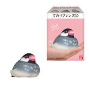 Te-Nori Friends 10 Bird without Gum