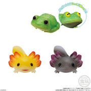 Te-Nori Friends 11 -Reptiles & Amphibians- without Gum