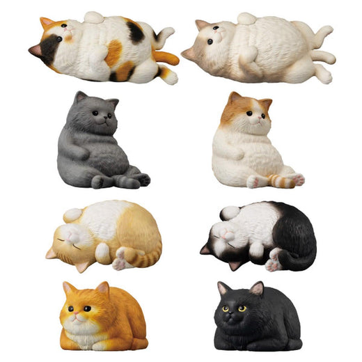 Mocchiri Kokorin Cat without Gum