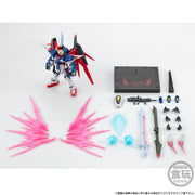 Mobile Suit Gundam G-frame Fa Destiny Gundam without Gum