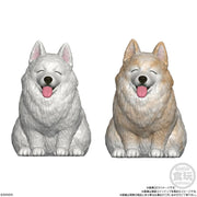 Mocchiri Kokorin Doggie without Gum