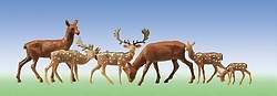 Fallow Deer & Red Deer (12pc)