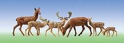 N Fallow Deer and Red Deer 12pcs