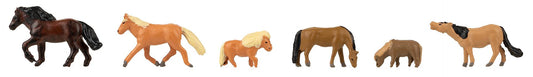 N Horses and Ponies