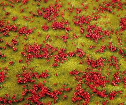 Landscape Segment Flowering Meadow Red