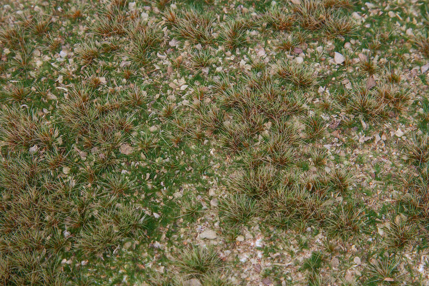 PREMIUM Landscape segment Field of wild herbs