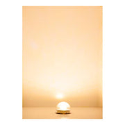 HO/N Lighting Fixture LED Warm White