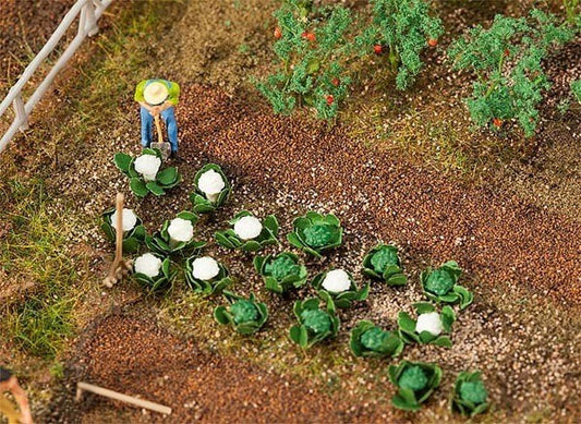 10 Heads of green cabbage and 10 heads of cauliflower