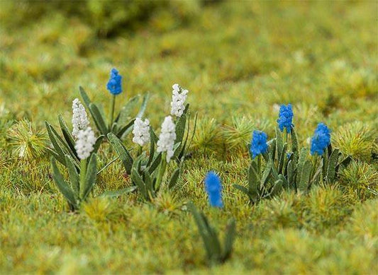 Grape Hyacinths (32)