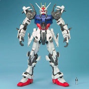 PG 1/60 STRIKE GUNDAM