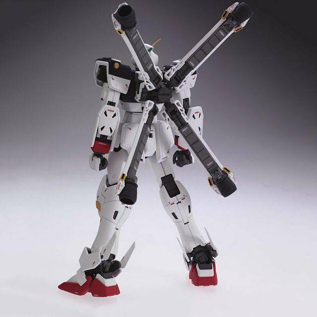 MG 1/100 CROSSBONE GUNDAM X-1 ver.Ka