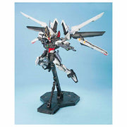 MG 1/100 STRIKE NOIR GUNDAM