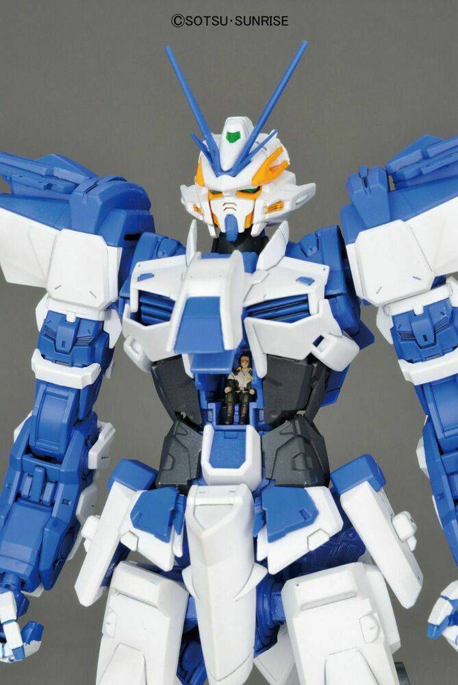 MG 1/100 GUNDAM ASTRAY BLUE FLAME D