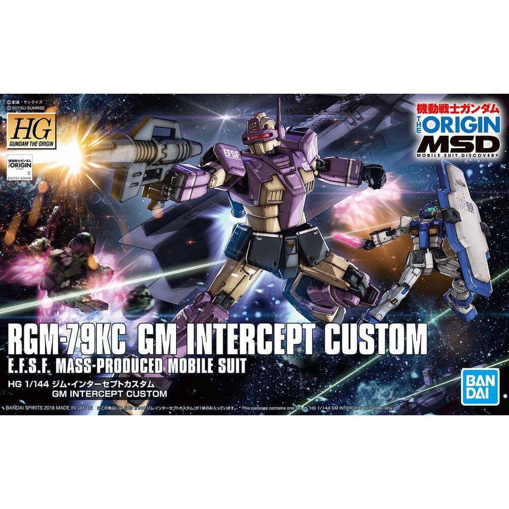 HG 1/144 GM INTERCEPT CUSTOM