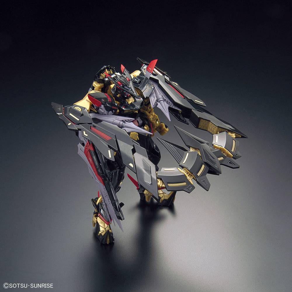 RG 1/144 GUNDAM ASTRAY GOLDFRAME AMATSU MINA