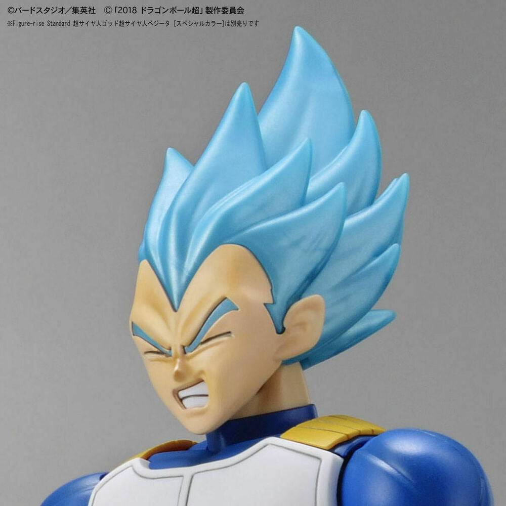 Figure-rise Standard SUPER SAIYAN BROLY FULL POWER