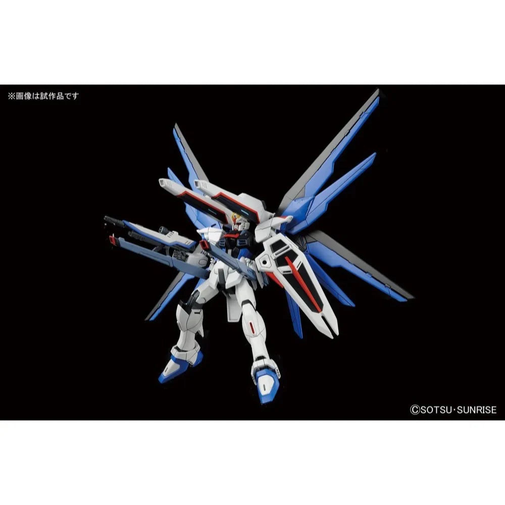 HGCE 1/144 FREEDOM GUNDAM