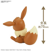 Pokemon Model Kit QUICK!! EEVEE