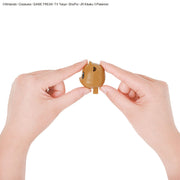 Pokemon Model Kit QUICK!! EEVEE