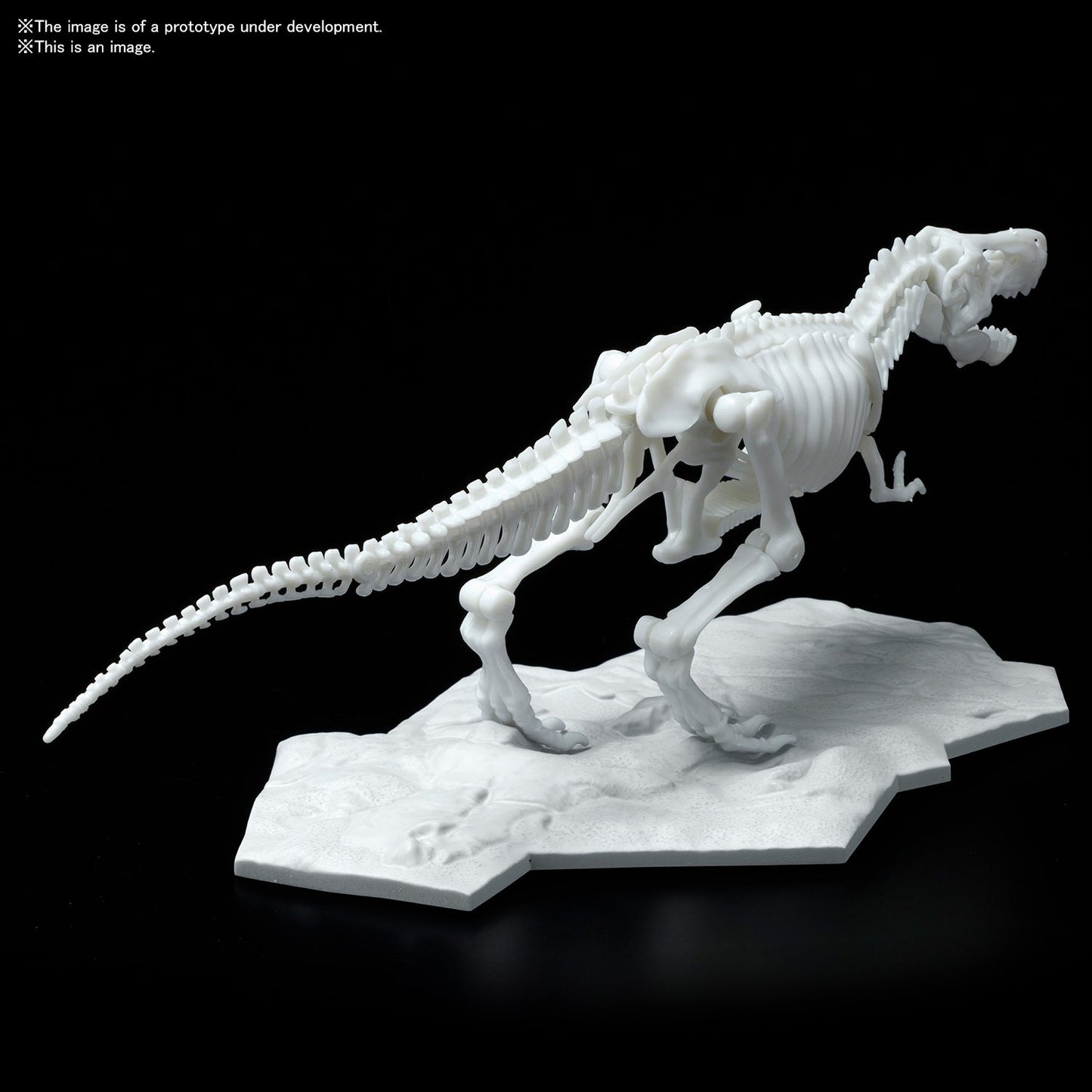 DINOSAUR MODEL KIT LIMEX SKELETON Tyrannosaurus