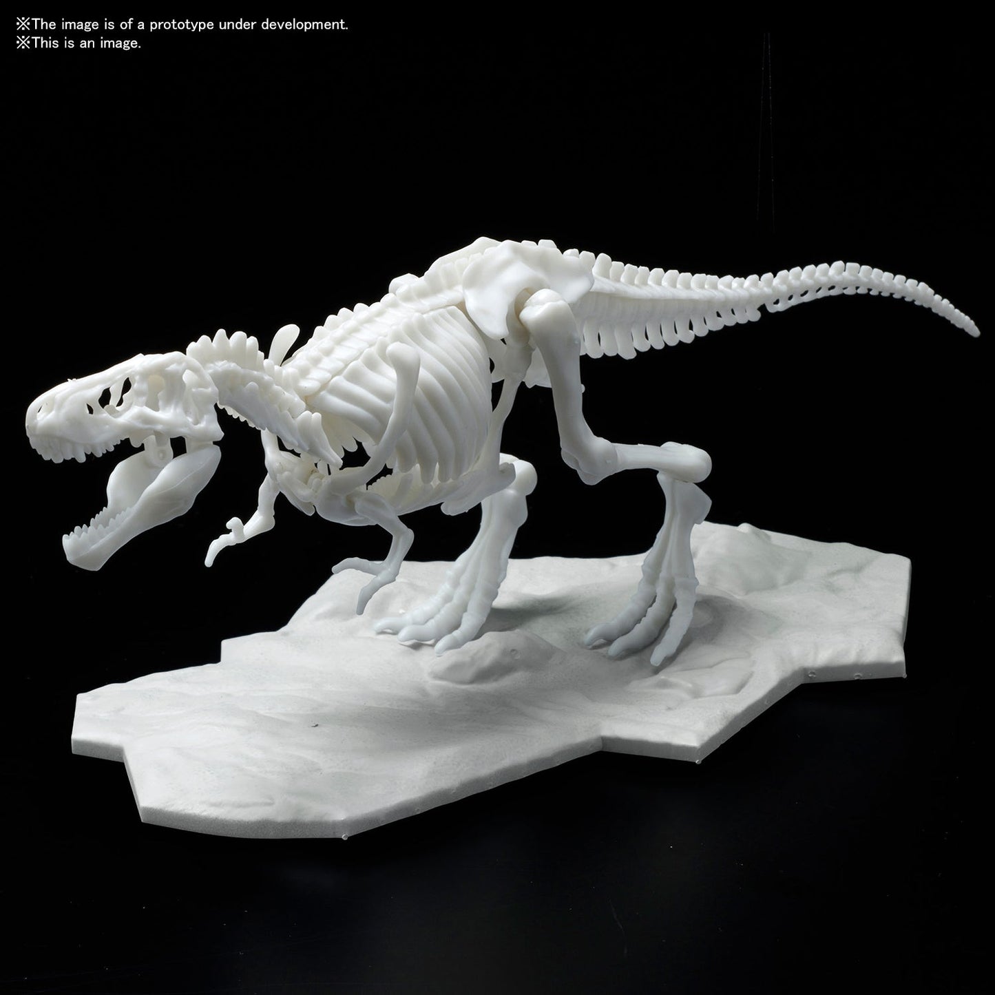 DINOSAUR MODEL KIT LIMEX SKELETON Tyrannosaurus