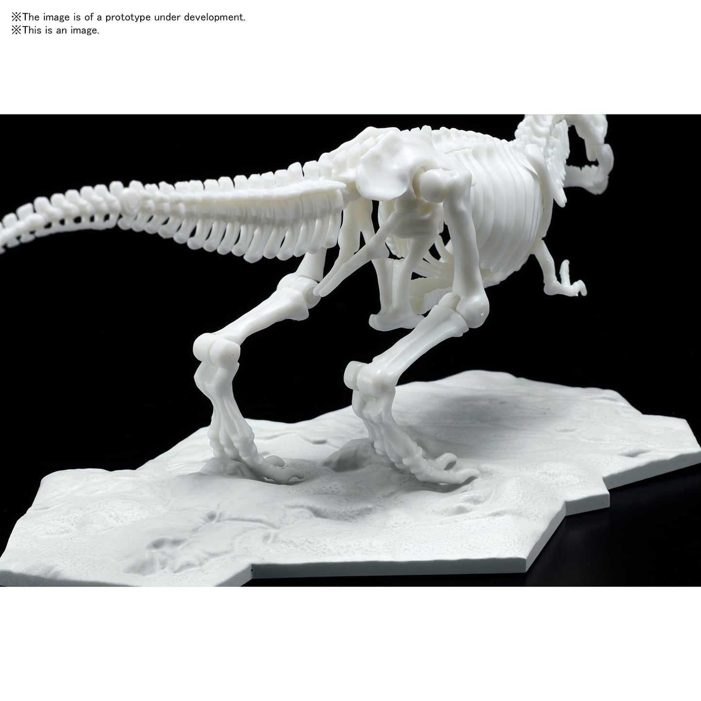 DINOSAUR MODEL KIT LIMEX SKELETON Tyrannosaurus