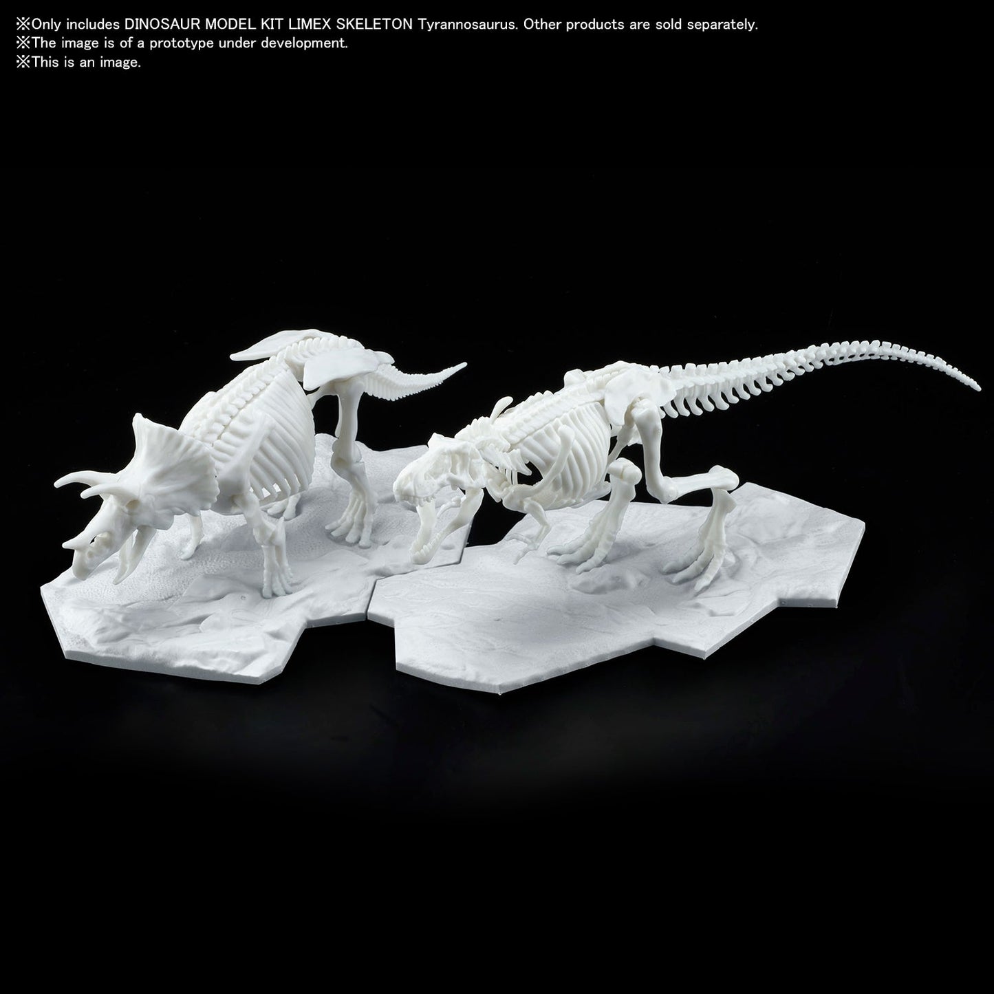 DINOSAUR MODEL KIT LIMEX SKELETON Tyrannosaurus