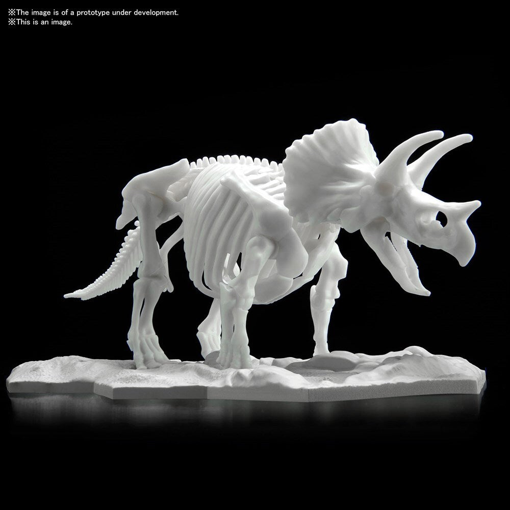 DINOSAUR MODEL KIT LIMEX SKELETON Triceratops