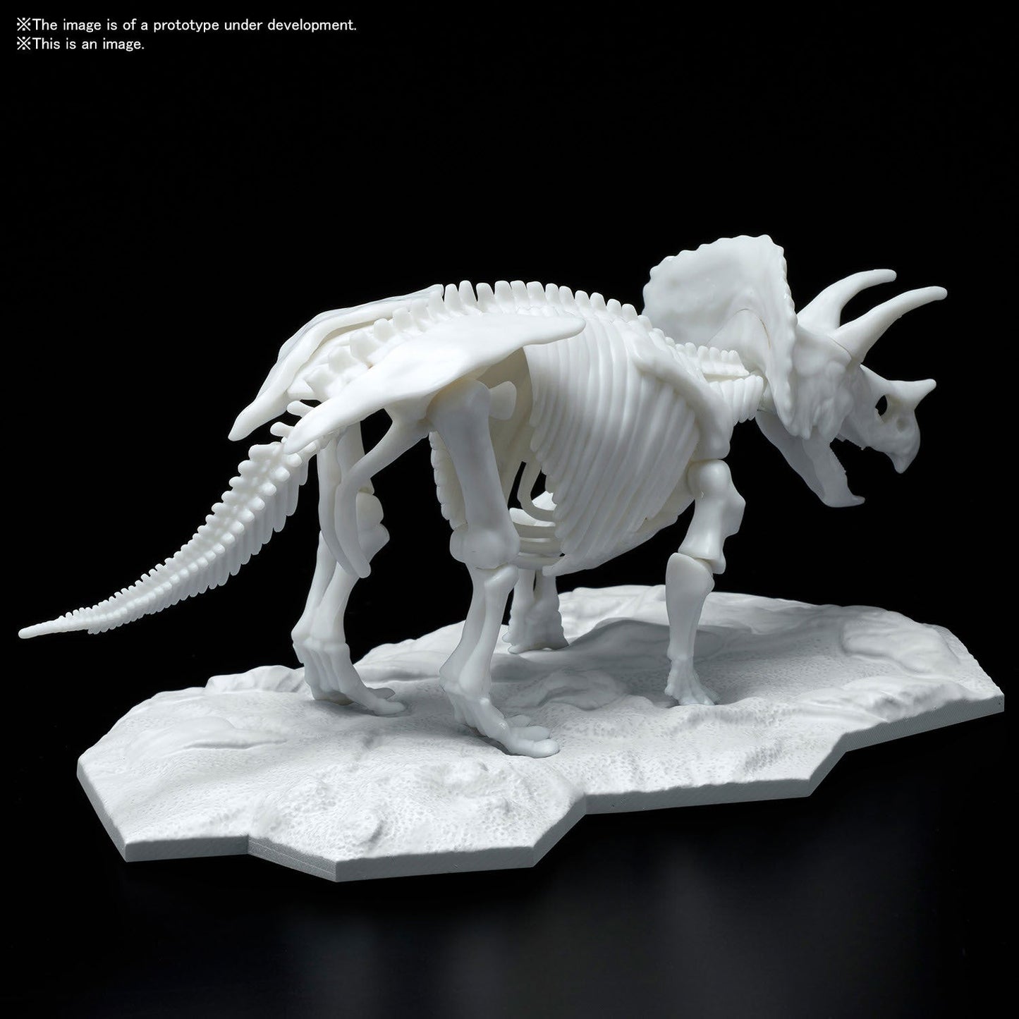 DINOSAUR MODEL KIT LIMEX SKELETON Triceratops