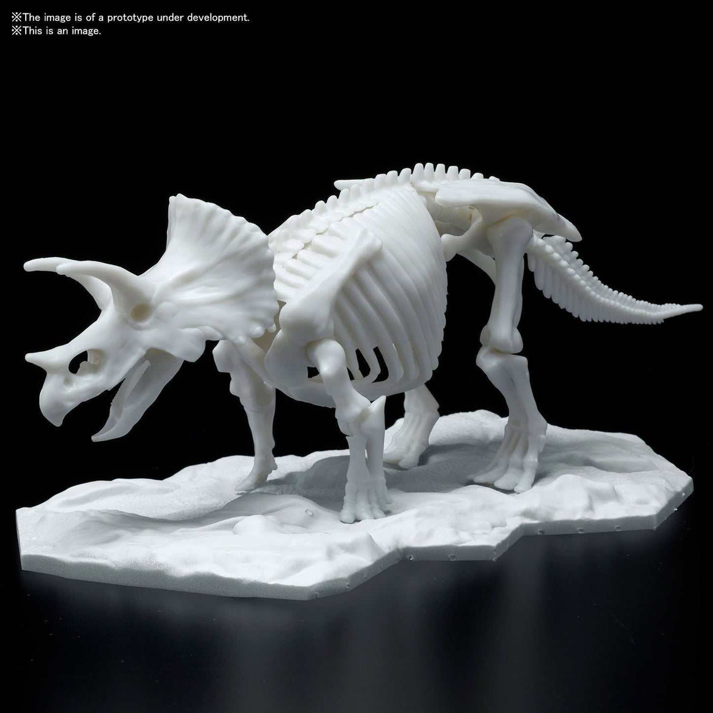 DINOSAUR MODEL KIT LIMEX SKELETON Triceratops