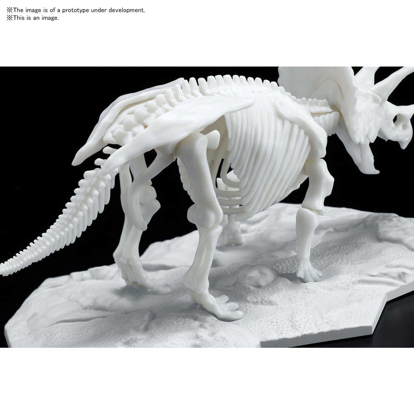 DINOSAUR MODEL KIT LIMEX SKELETON Triceratops