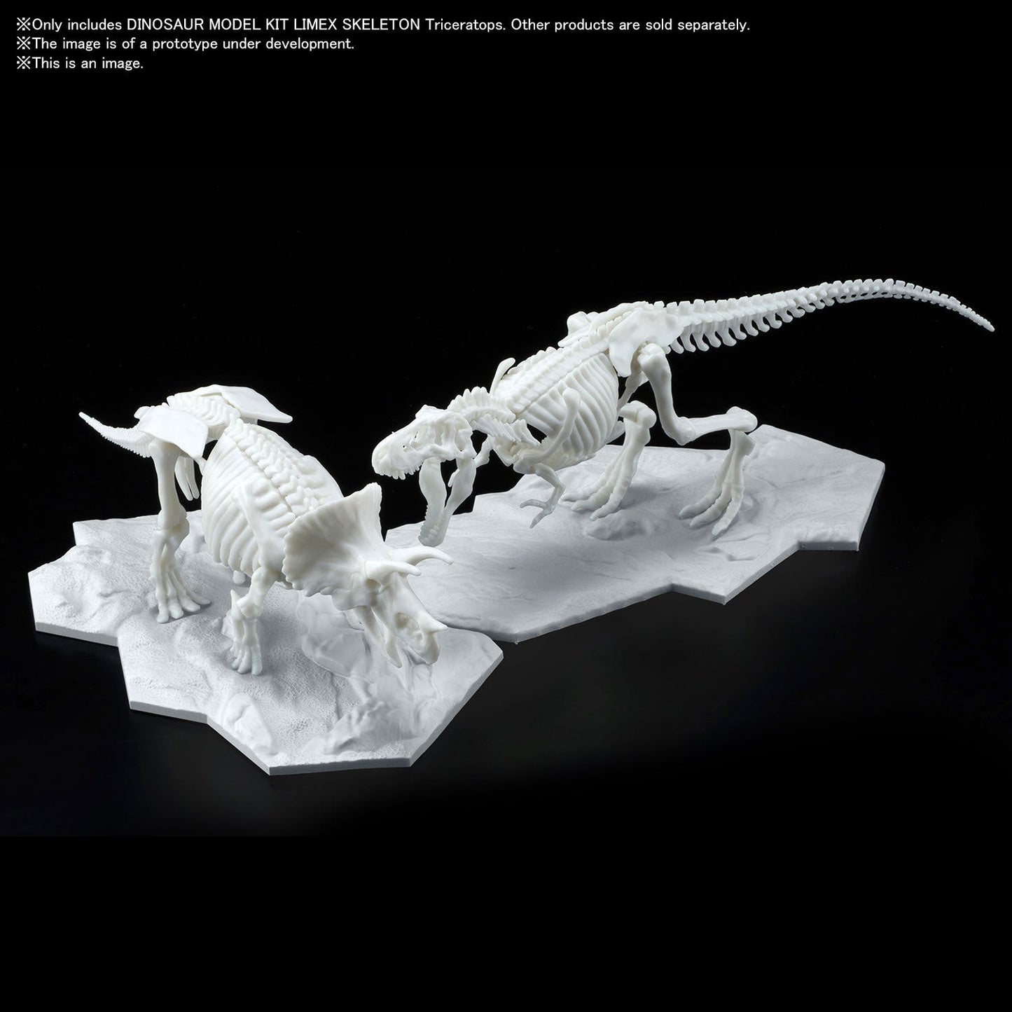 DINOSAUR MODEL KIT LIMEX SKELETON Triceratops