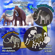Exploring Lab Nature Mammoth