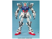 PG 1/60 STRIKE GUNDAM